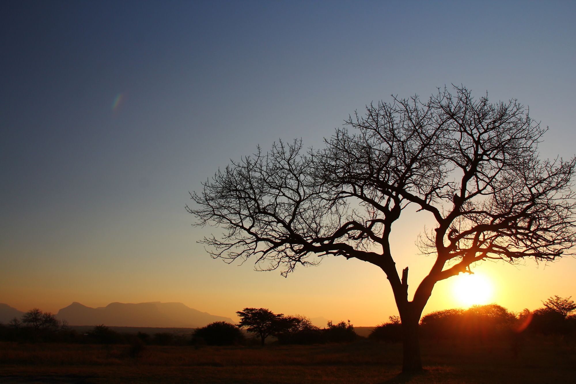 Thornhill Safari Lodge Hoedspruit Eksteriør billede