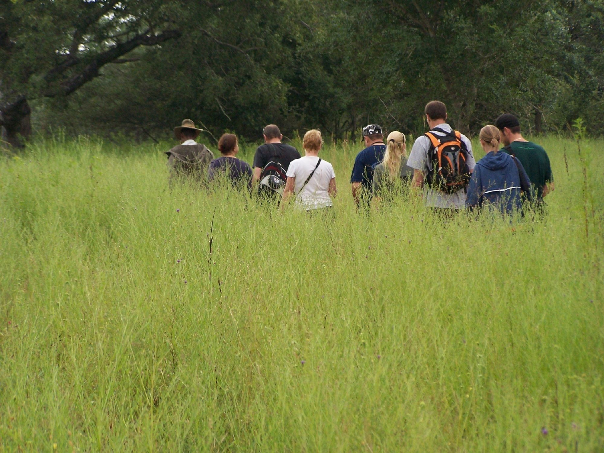 Thornhill Safari Lodge Hoedspruit Eksteriør billede